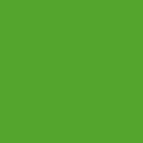 zielony kelly